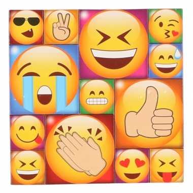 13x emoji emoticon memo magneten type 1