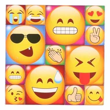13x emoji emoticon memo magneten type 3