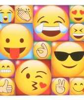 13x emoji emoticon memo magneten type 2